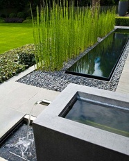 Plants Equisetum hyemale Horsetail Scouring Rush water feature pond  OUTSIDE IN
