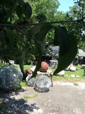Sculpture Spheres Balls IMG 1097 GK86-cu s9999x323